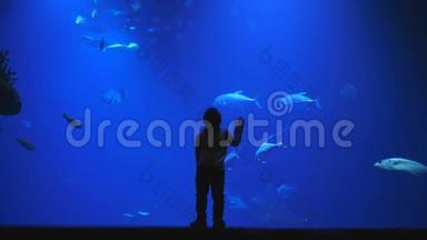 儿童学习世界，一个孩子在海洋馆里观看充满异国鱼类的巨大水族馆的剪影